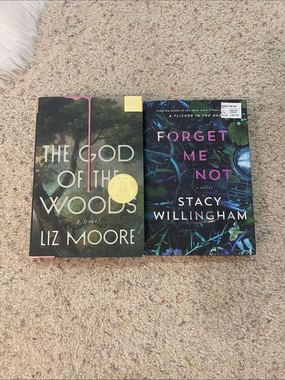 Mystery book bundle: the god of the woods & forget me not